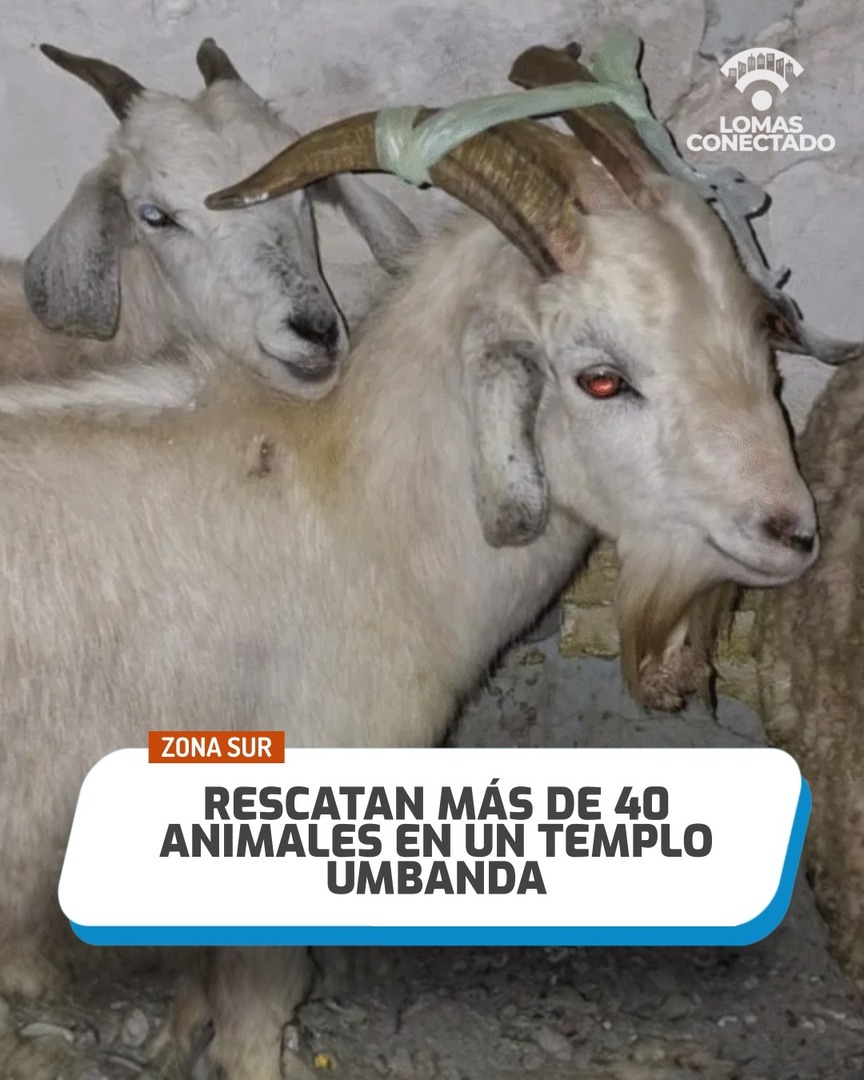 Lomas Conectado tweet media