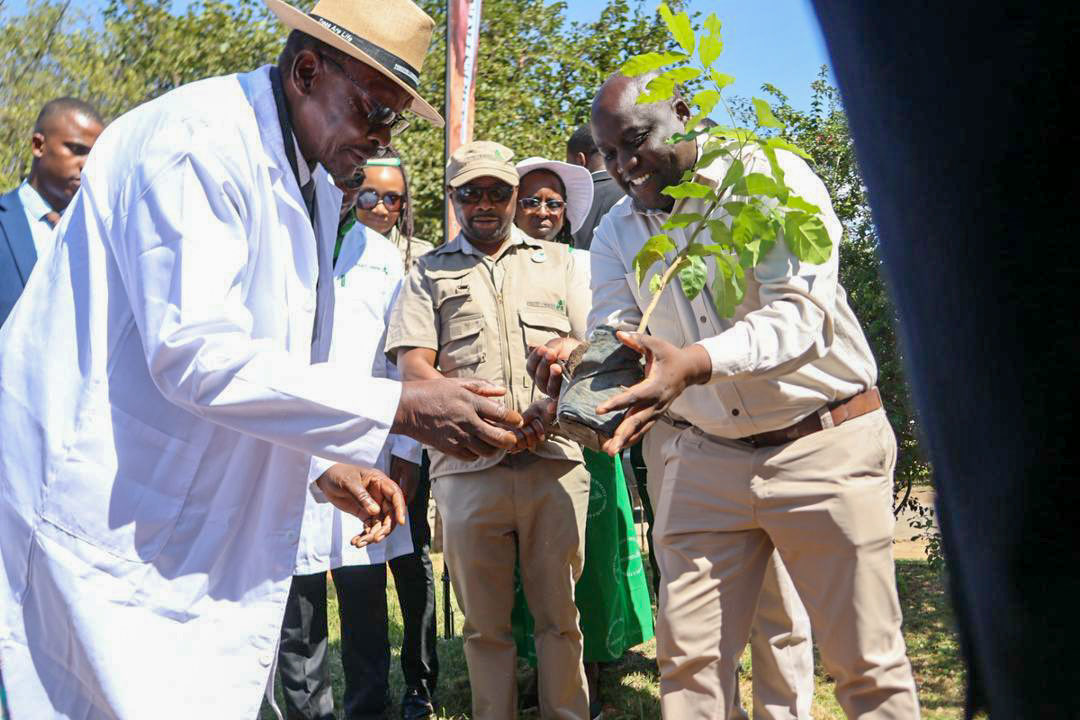 Forestry Commission Zimbabwe tweet media