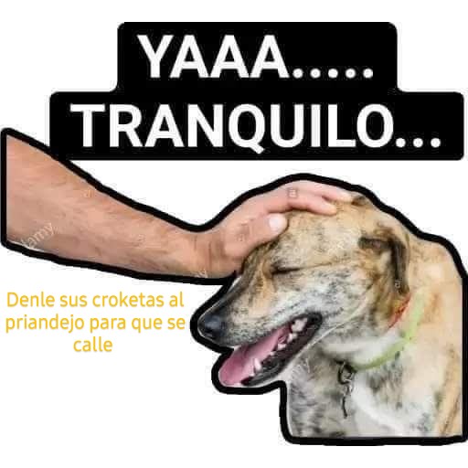 halcón Dávila tweet media