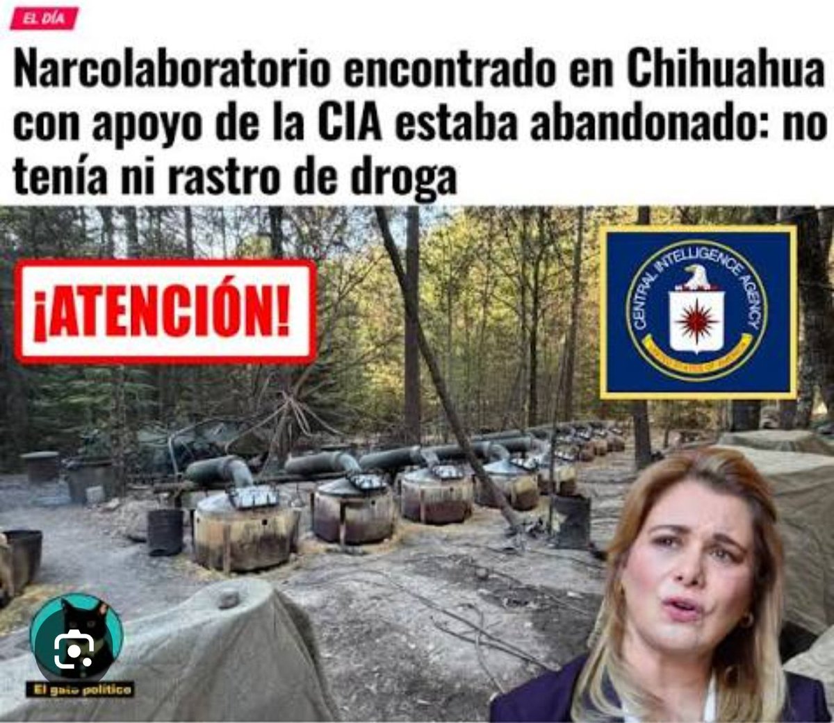 Alexis Amezcua tweet media