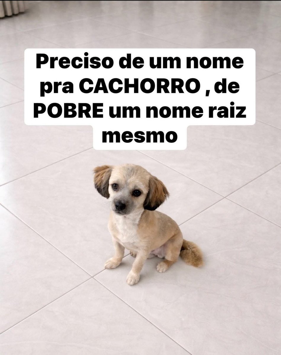 soares ᶜᵉᶜ tweet media