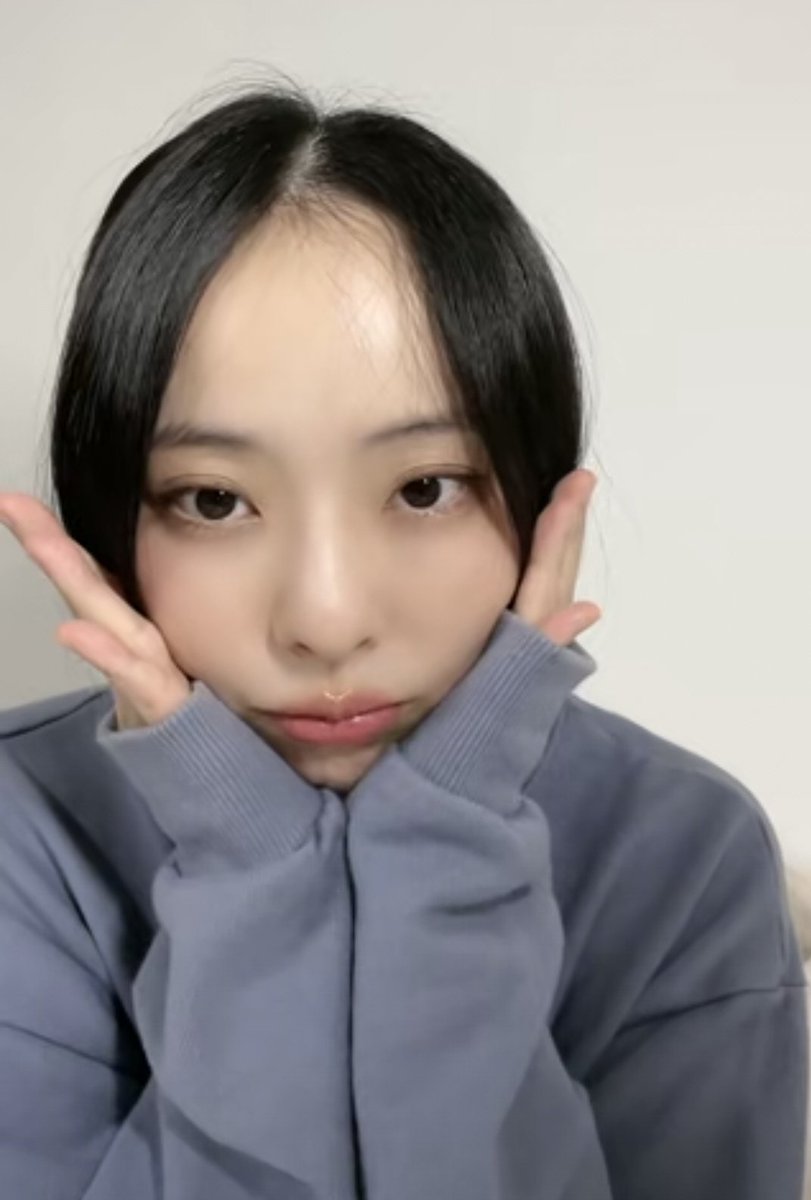 vivi folder tweet media