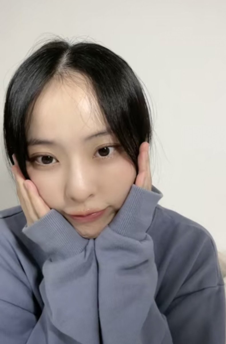 vivi folder tweet media