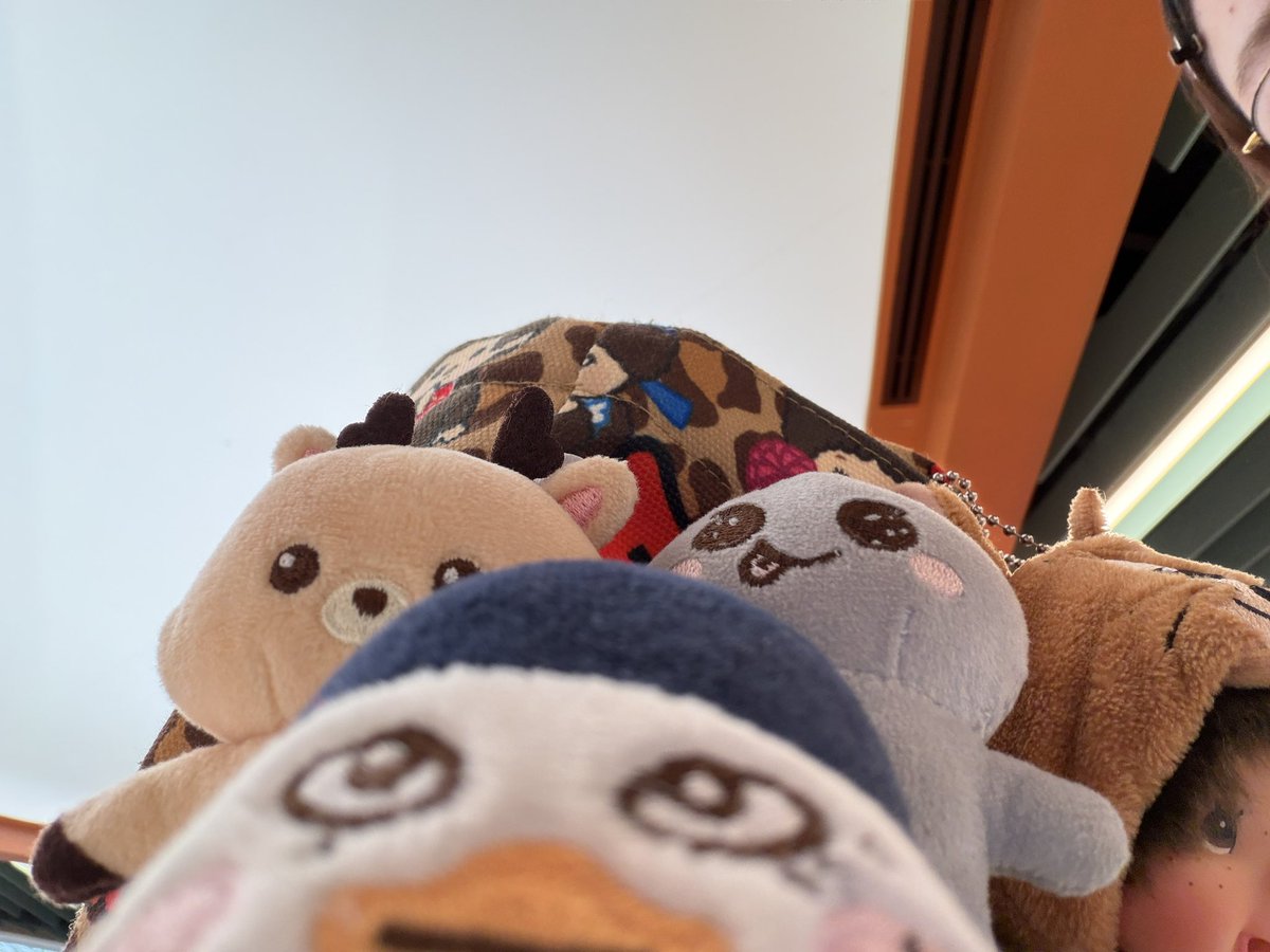 ✳︎ octoryu tweet media