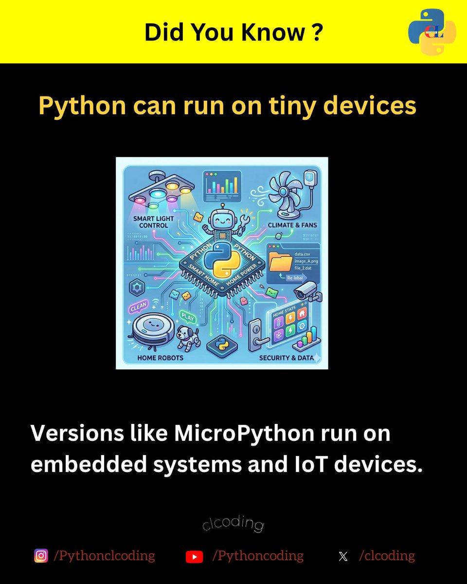 Python Coding tweet media