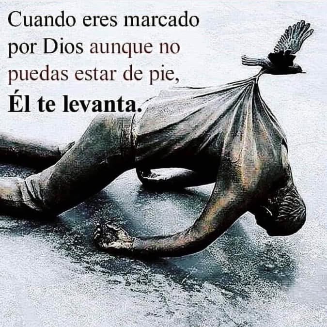 Lizbeth Quiñonez tweet media