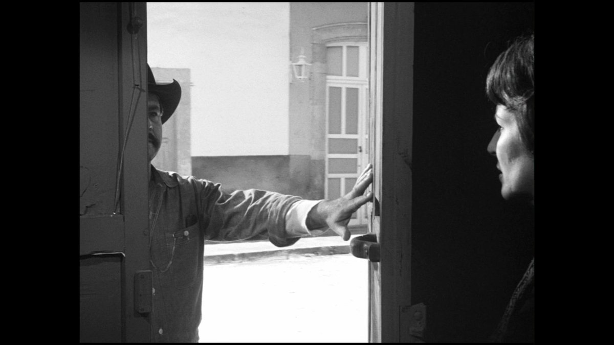 mi casablanca es su casablanca tweet media