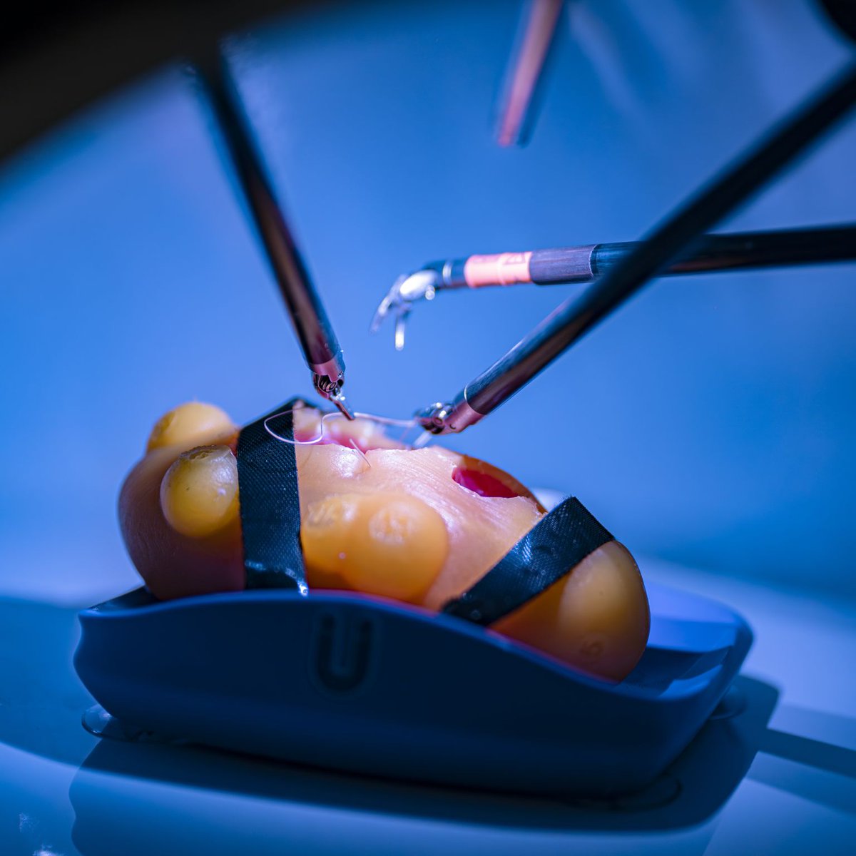 Urotrainer | Urology Surgical Simulation tweet media