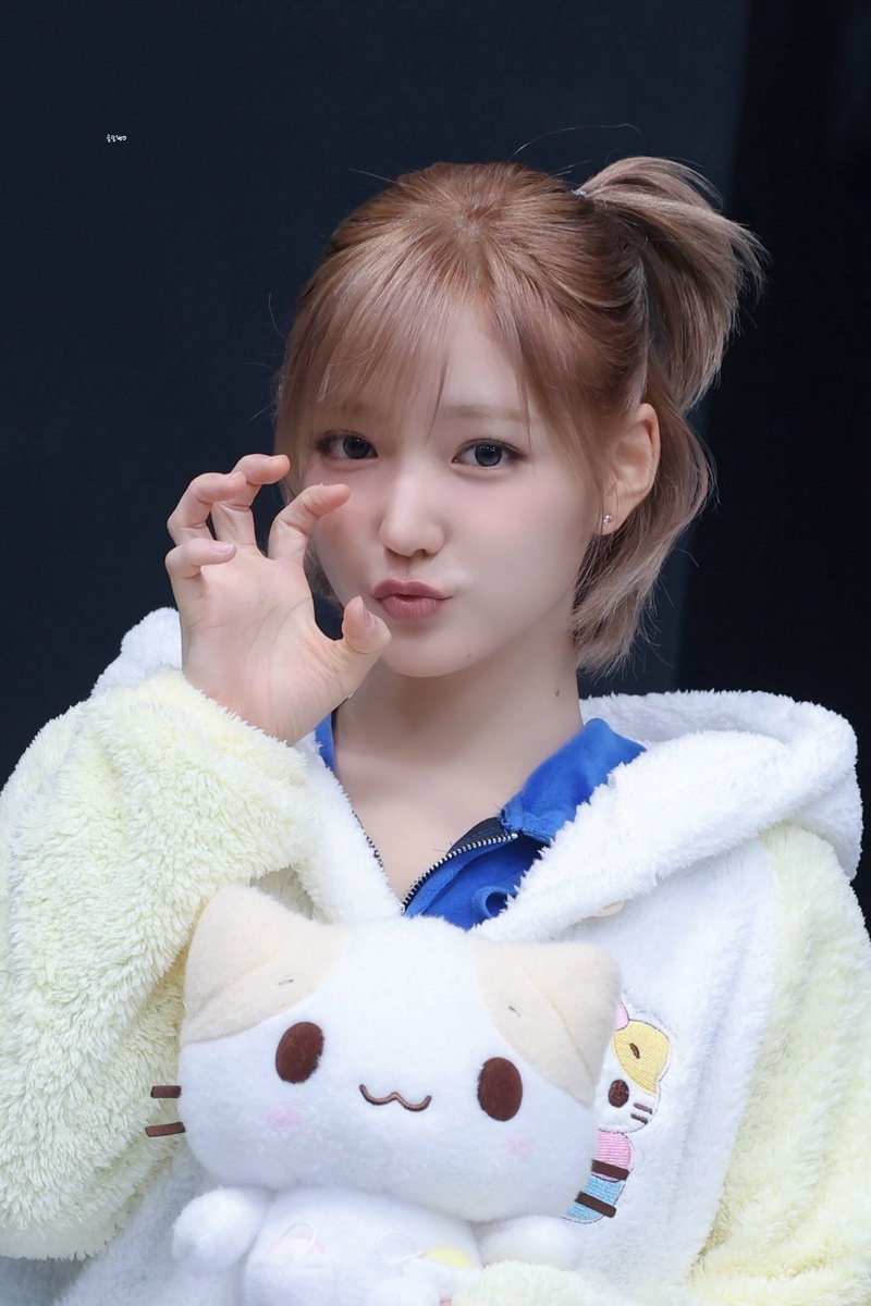 솔랑해ᡣ𐭩 tweet media