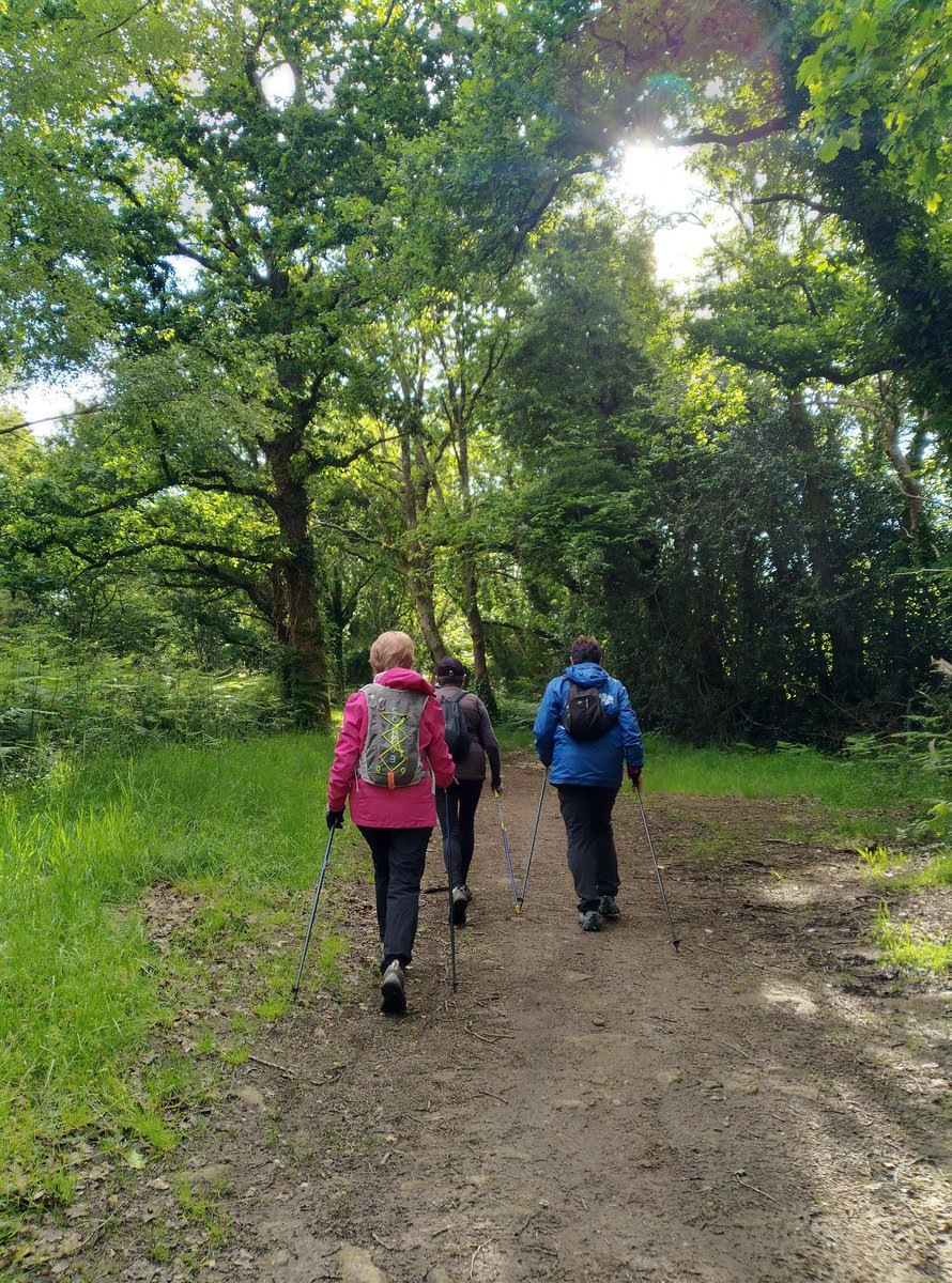 NicolasNFE's tweet photo. Séances marche nordique autour du golf ⛳ blue green de l'Odet, encore un peu boueux,  mais circuits entretenus par la CCCPF 👌🏼 @DeCommunes42964 
#nordicwalking #marchenordique #sportsante  programme Maison Sport Santé Cornouaille. #4saisons  🏃🏼🏃🏻‍♀️ https://t.co/Xx8mas8JuY