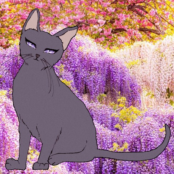 花百🪻💕 tweet media