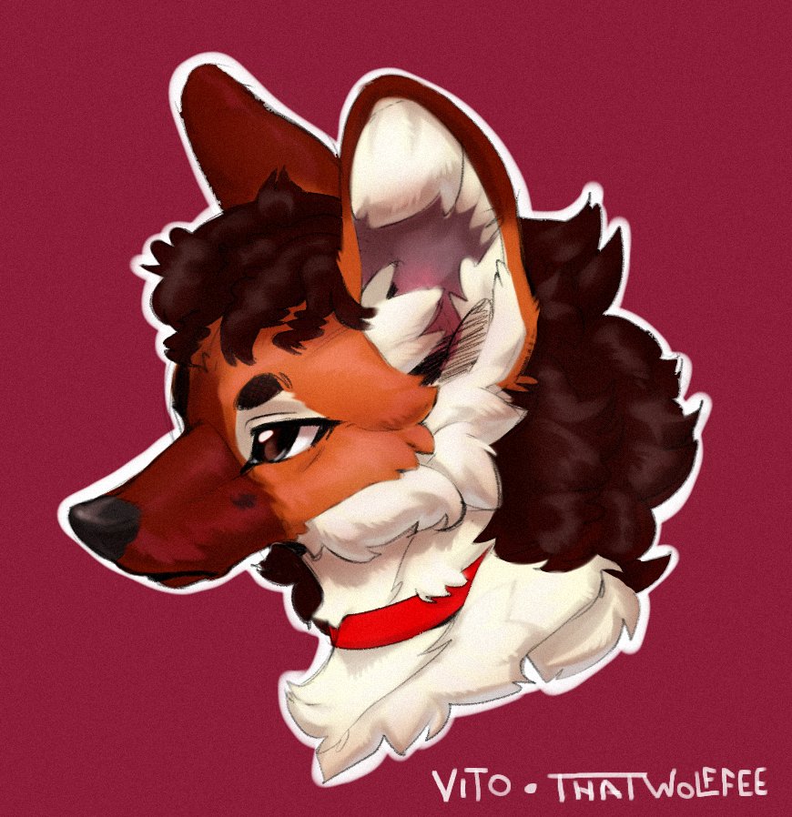 Vito - Wolffee💤 tweet media
