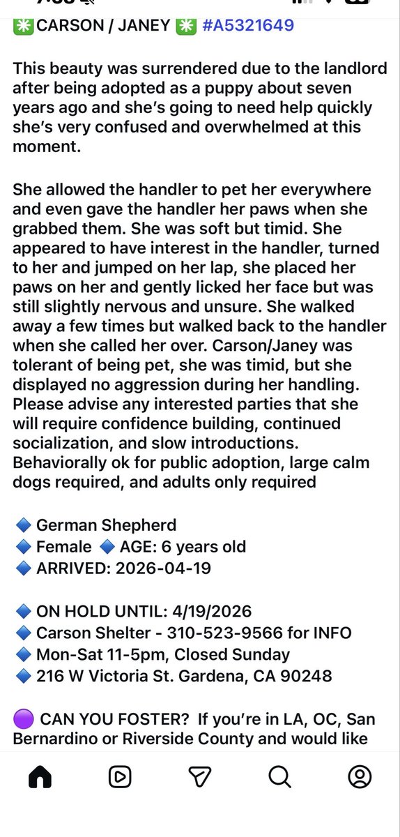 micortazonzz1's tweet photo. JANEY is up for Euthanasia. Landlord said she had to go. No pets allowed anymore. Adopted as a puppy 7years ago. JANEY is out of time. 🆘🆘🚨🆘🚨🚨🚨🆘🚨🆘🆘🚨🆘🆘🚨🆘🚨 https://t.co/K3QzGti2Sg