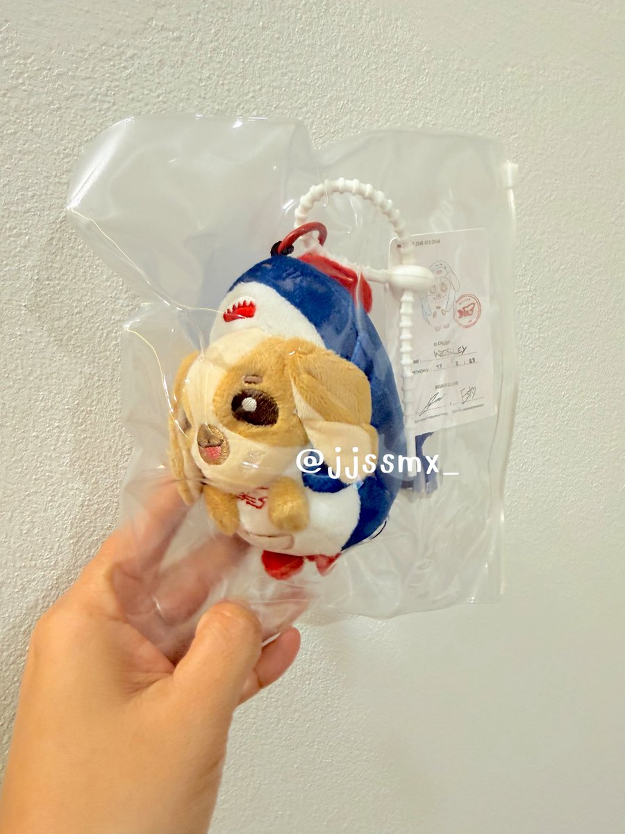 🌤️ ༘⋆ 𓊆ྀིเจเอส𓊇ྀི ⋆｡🧸ྀི⟢ ꙳ ˓ tweet media