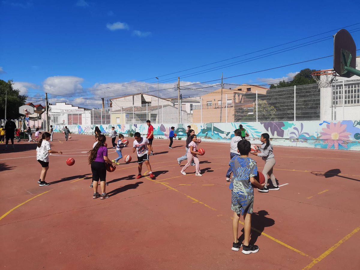 Fundación Basket Zaragoza tweet media