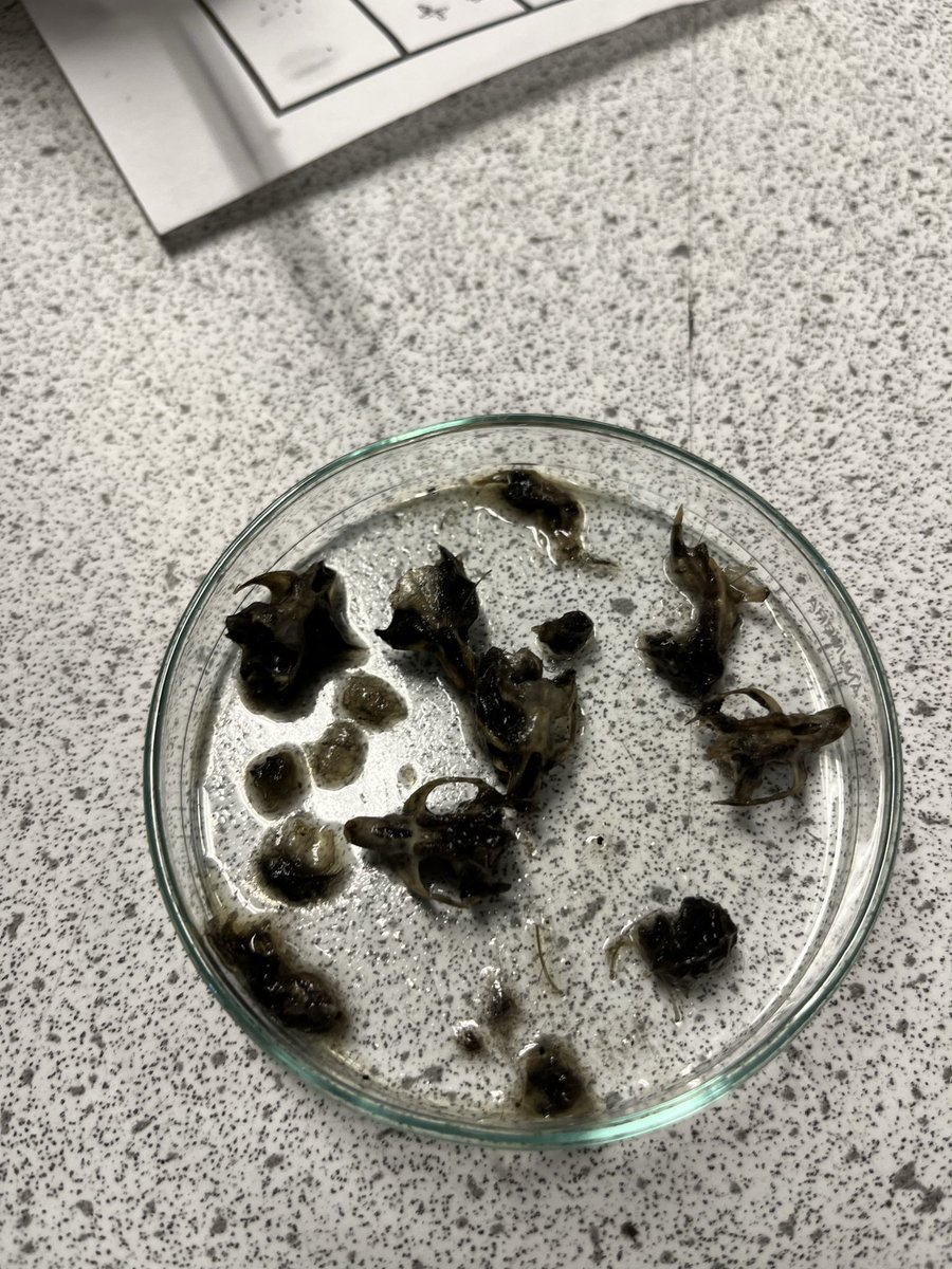 Queens’ Science Department tweet media