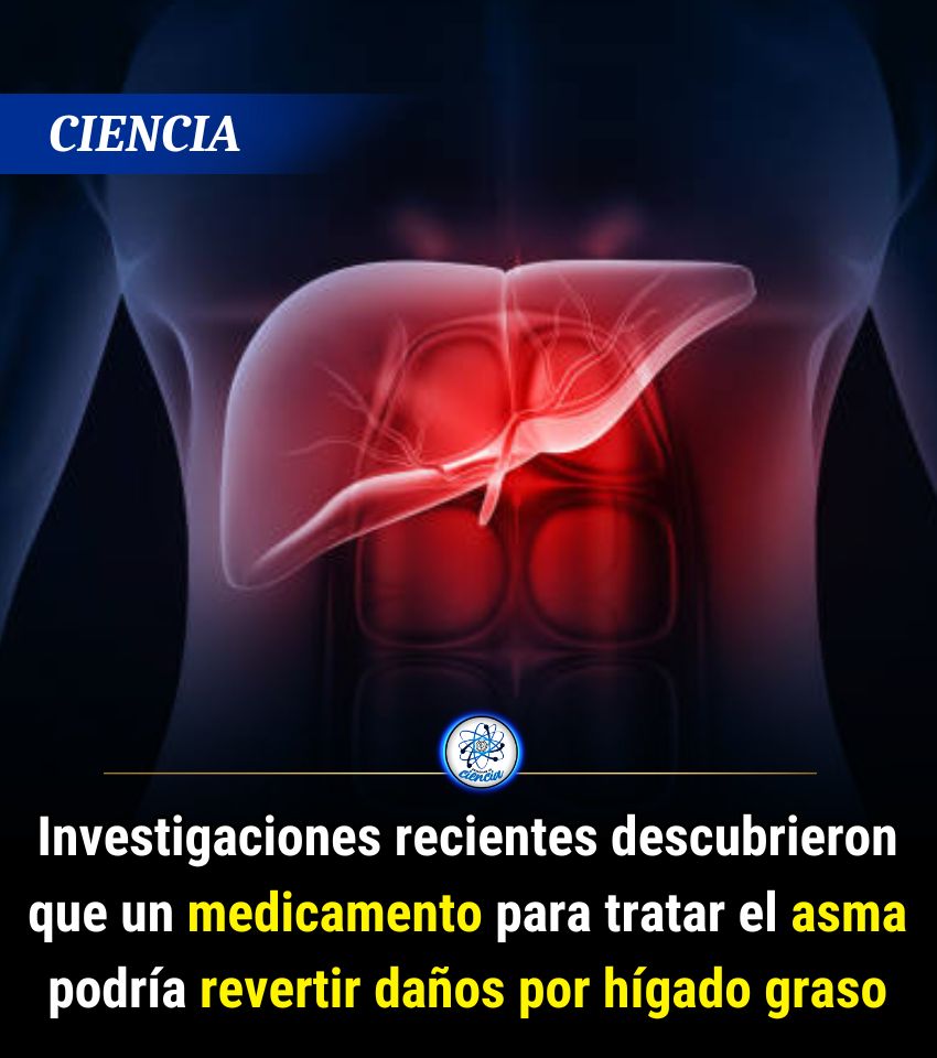 Enséñame de Ciencia tweet media