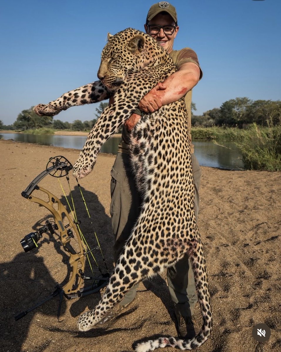 Xpose Trophy Hunting tweet media