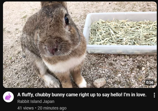 angelbun ૮ ˶ᵔ ᵕ ᵔ˶ ა Θ∆ 🏳️⚧️ tweet media