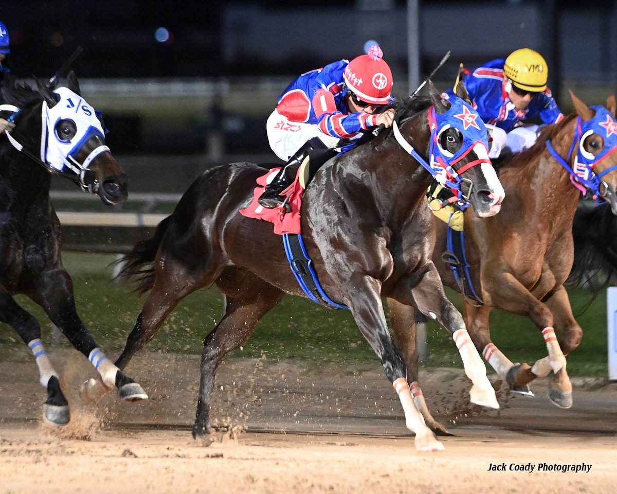 Sam Houston Race Park tweet media