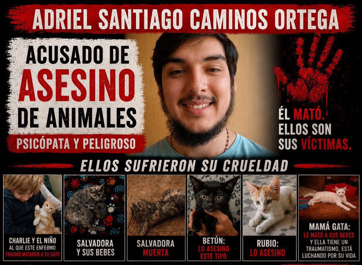 Andrés tweet media