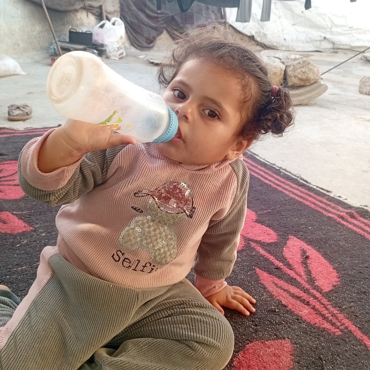 Le in gaza🍉 tweet media