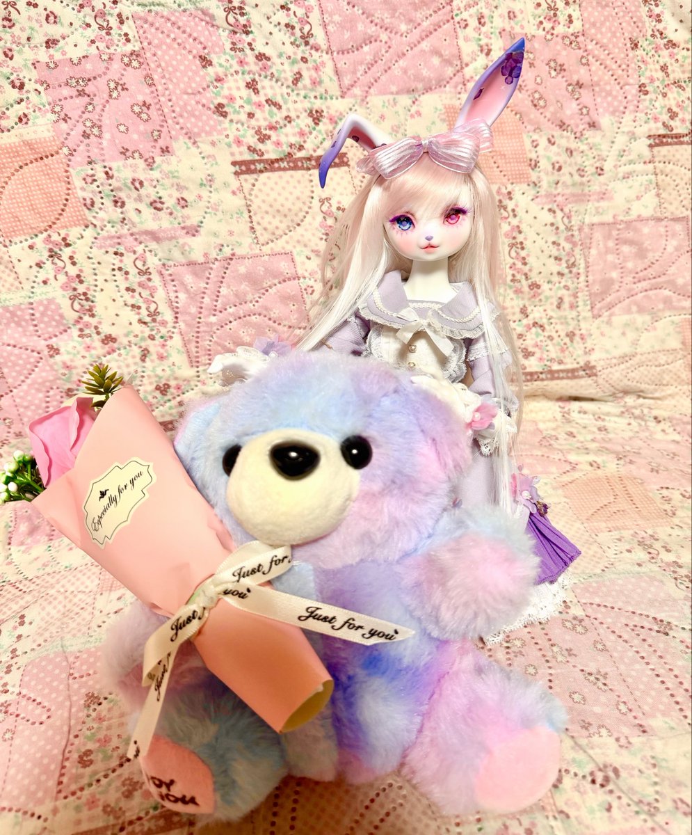 🐈こっき🦊 tweet media
