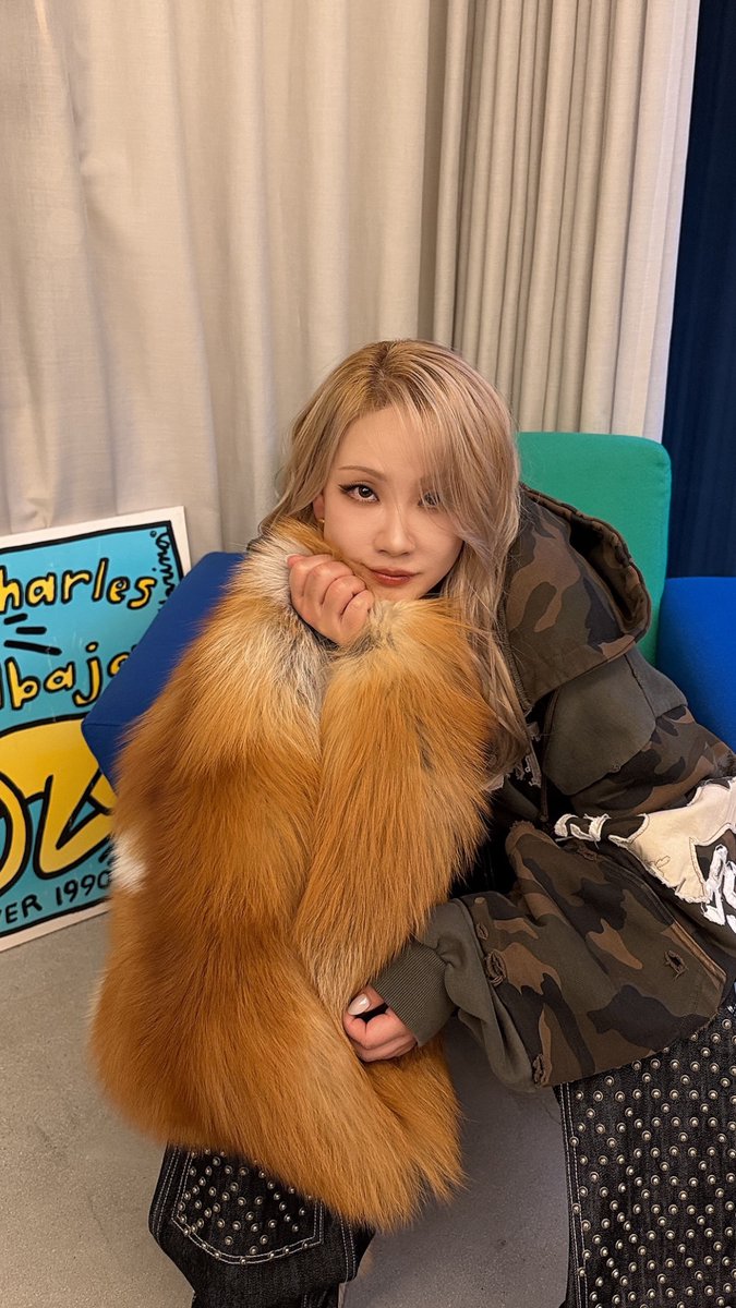 삽살곰 tweet media
