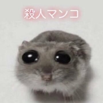 mumei643's tweet photo. バラクラバ被ってる時の俺友達から殺人マンコって言われて泣いてる https://t.co/YxnaI1zaDn