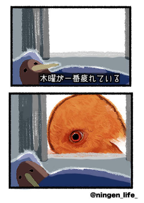 ningen_life tweet media