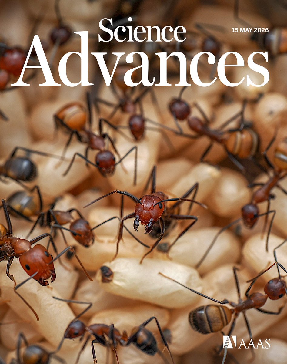 Science Advances tweet media
