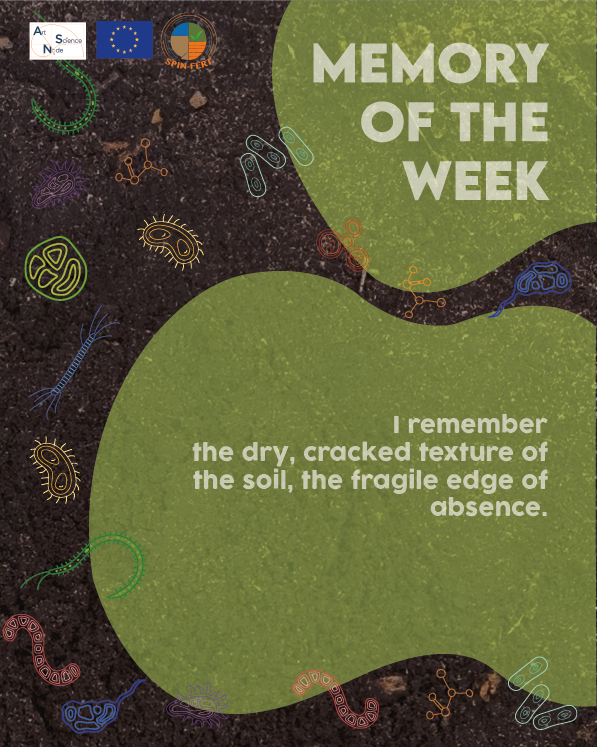 SPINFERT's tweet photo. Memory of the Week The memory of the week is taken from the Memory Nexus Archive.  Molecule No 10 collected during World Food Day 2025 in Rome, marked a historic milestone: the 80th anniversary of both of
@FAO   the United Nations.  #missionsoil https://t.co/dQwNN5YH7Z