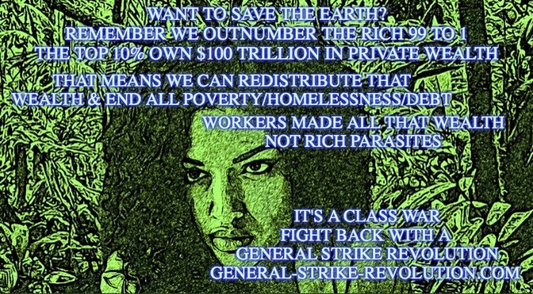 RPM4GeneralStrikeRevolution tweet media