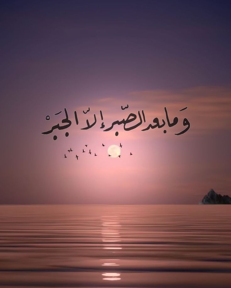 مُطمئِنةَ.! tweet media