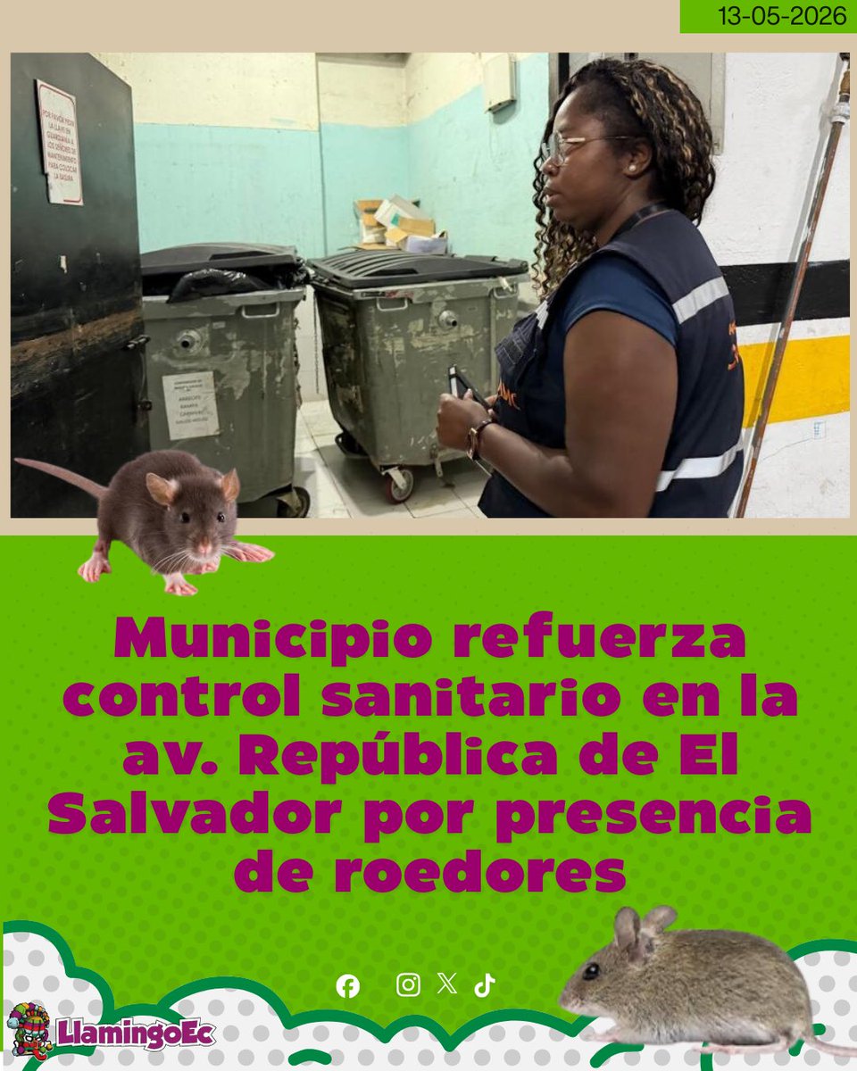 Llamingo.Ec tweet media