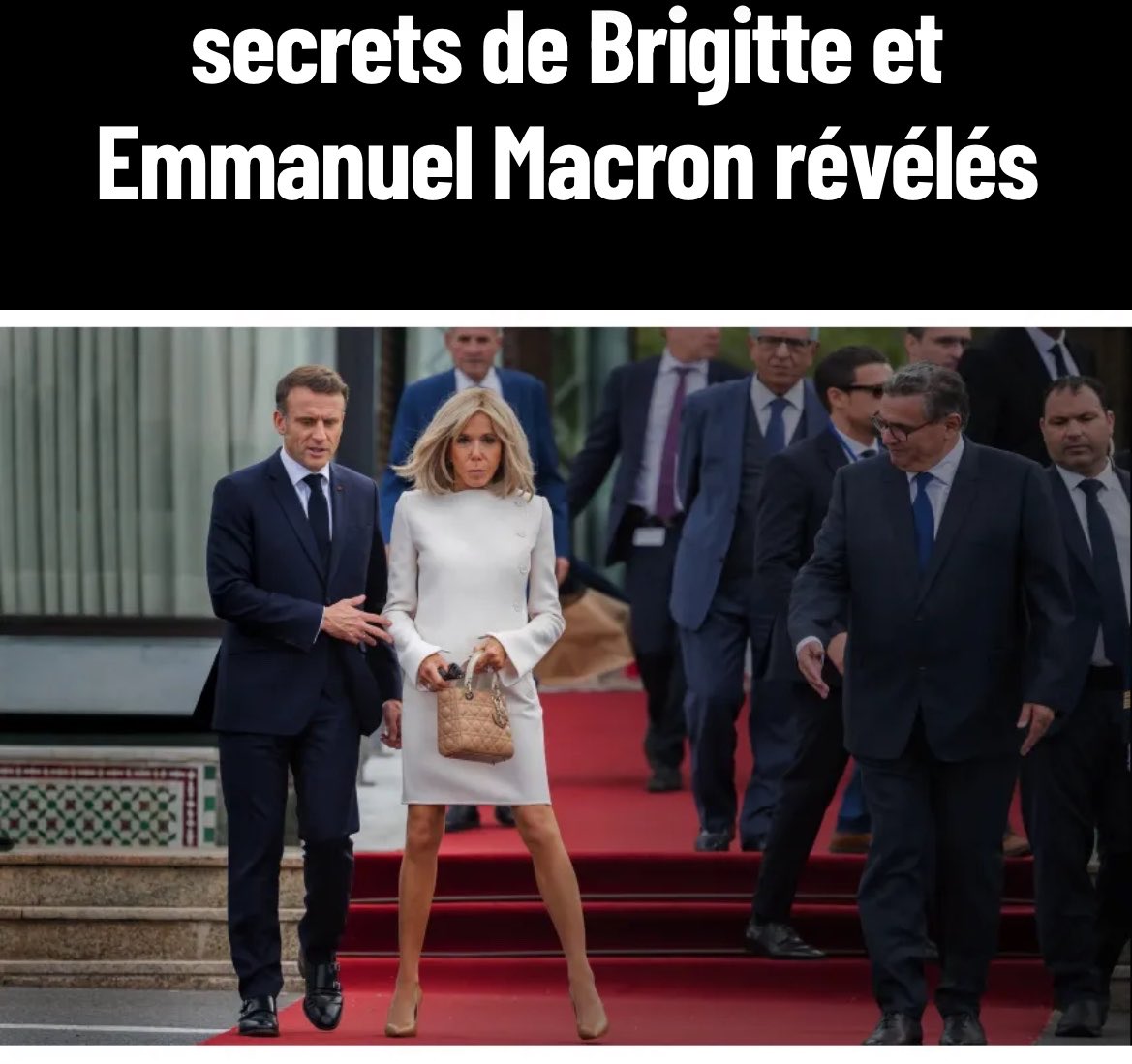 Kamelia tweet media