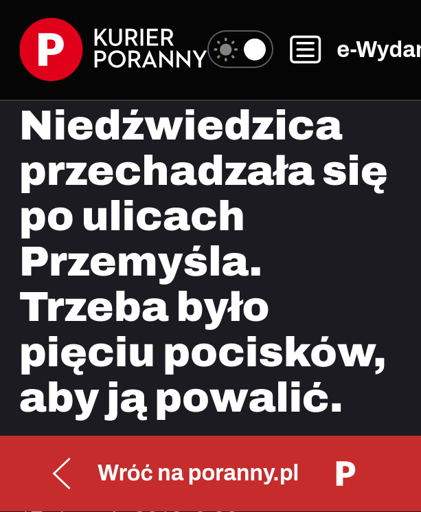 cypis.offline tweet media