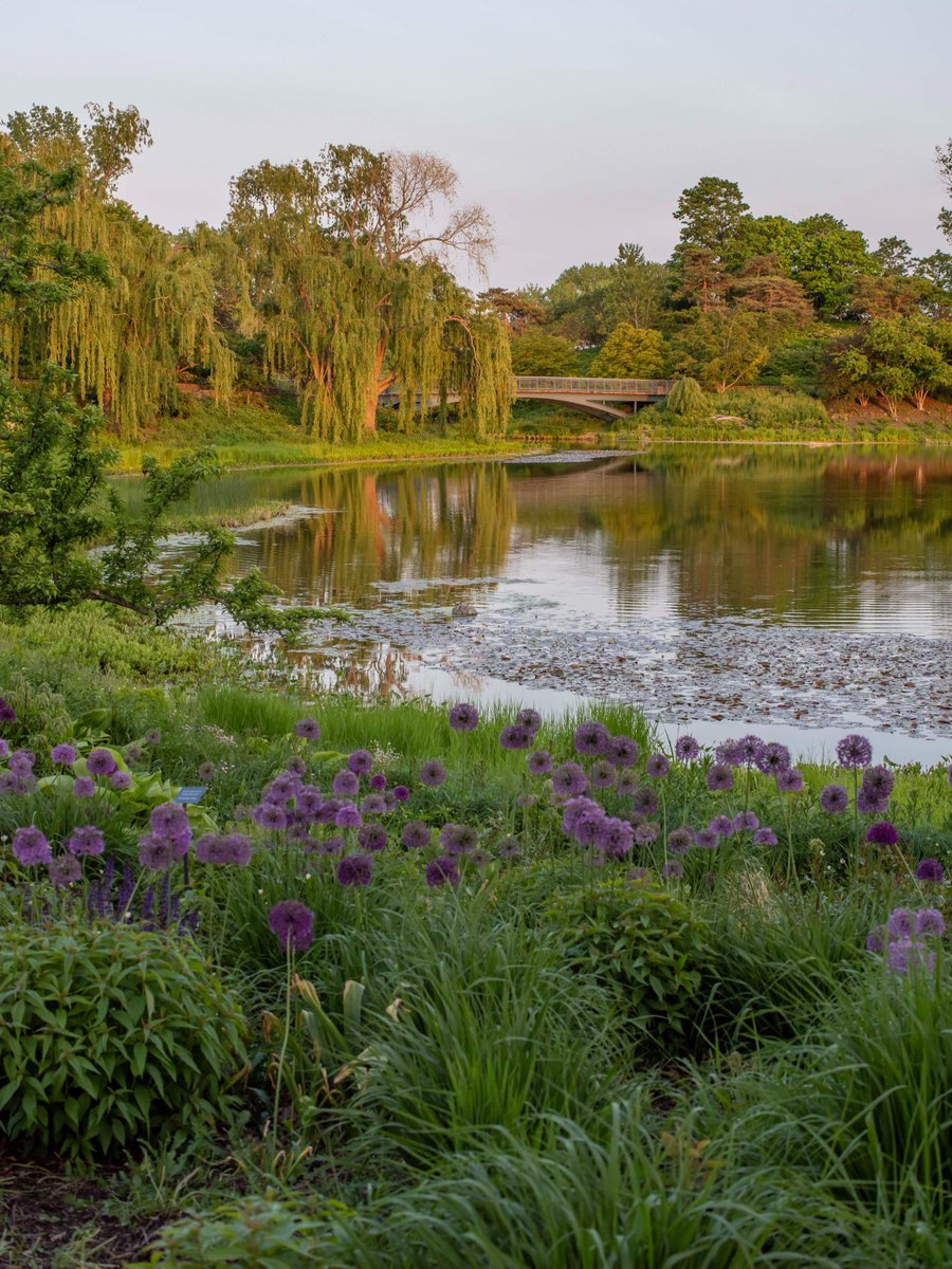 Chicago Botanic Garden tweet media