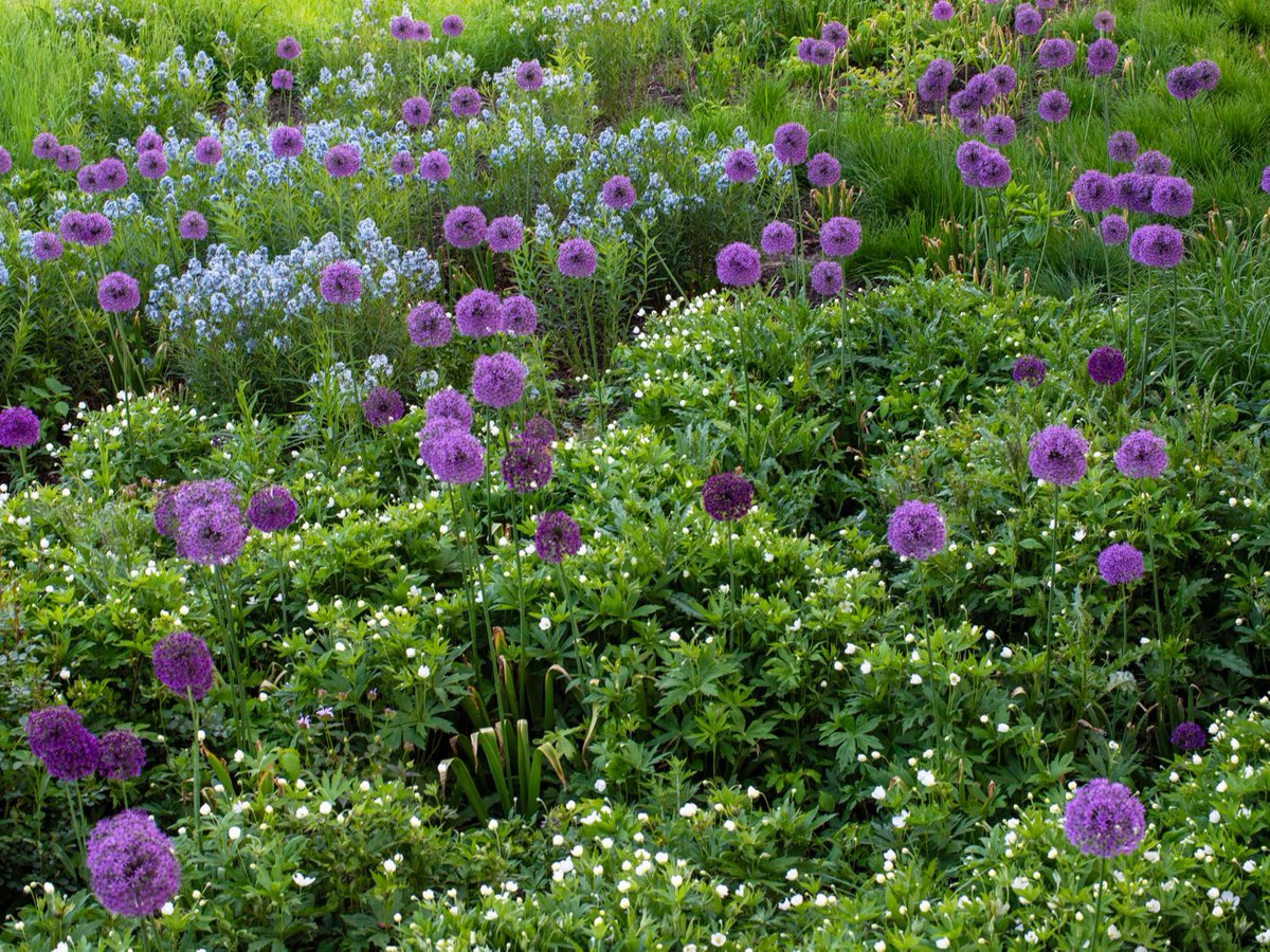 Chicago Botanic Garden tweet media