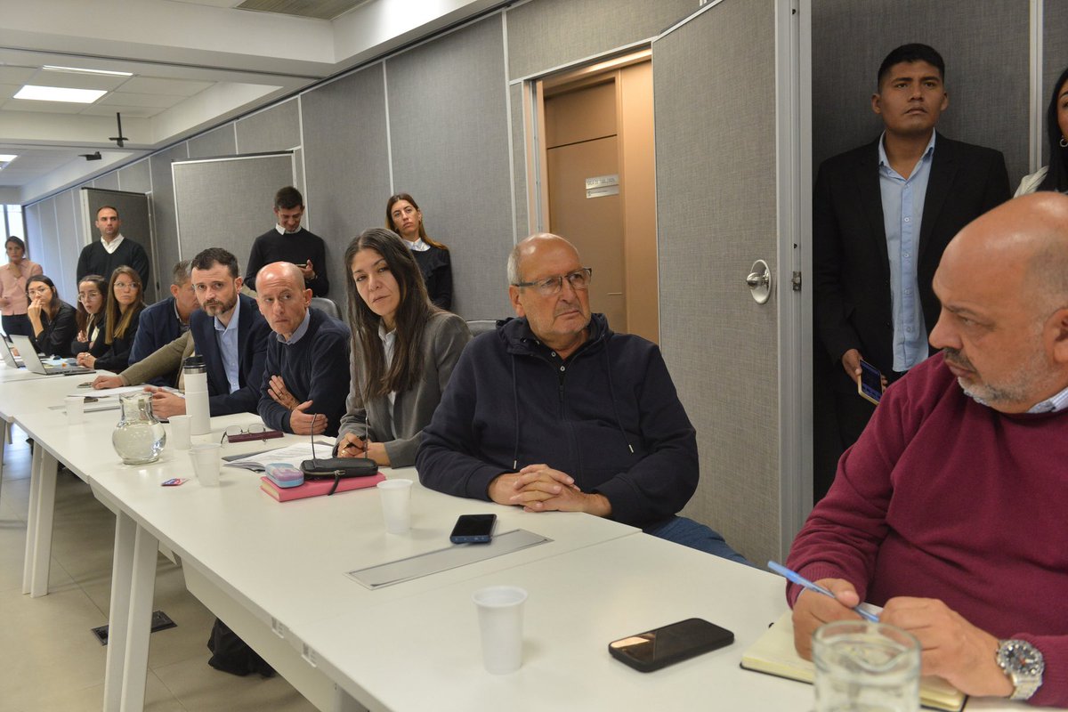 Senadores Cambia Mendoza tweet media