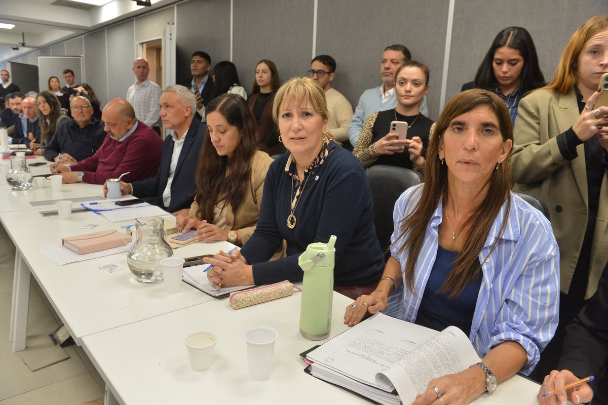 Senadores Cambia Mendoza tweet media