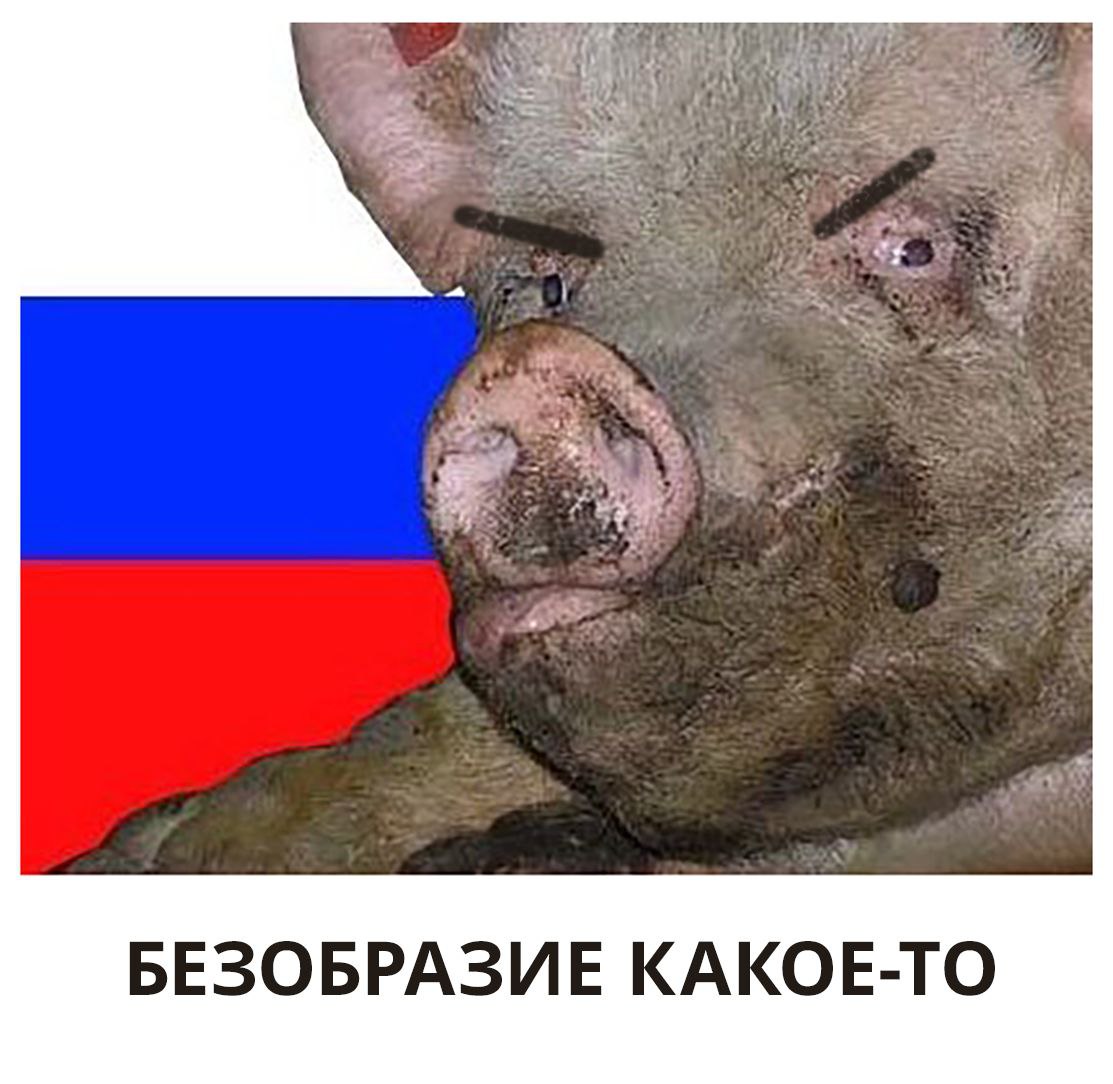 Київська Держава tweet media