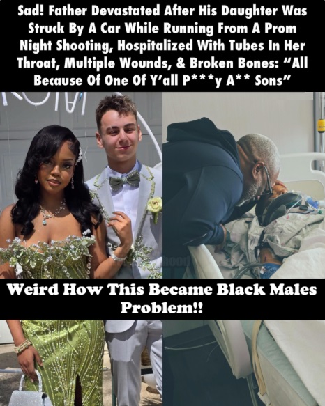 tommysotogeist's tweet photo. Why is it that black women are online right now blaming YN's for this when the only YN in the photo is the girl?

Shes with a Wigger, A low class thugged out white boy but its black males fault?  

Her white boyfriend is unharmed, not a scratch on him, so why was she running while he wasn't?

Why are they not blaming the driver of the car or her jumping out in front of the car?  Nope we are going to blame YN's

How is the shooter the problem when she wasn't hit by a bullet, she was hit by a car?  

Fellas they love white men so much they will blame you but I thought the white man gave u the soft life? I thought the white man offered protection?  Maybe she should have picked a better white man and not some wigger with cuts in his eyebrows!