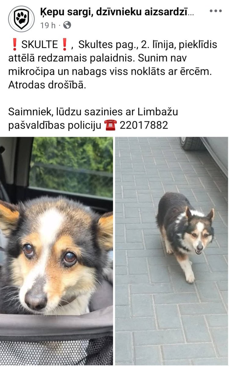 zalskukainis's tweet photo. Saimniek! Tavs draugs vēlas mājās ! https://t.co/m1dc69GAHt