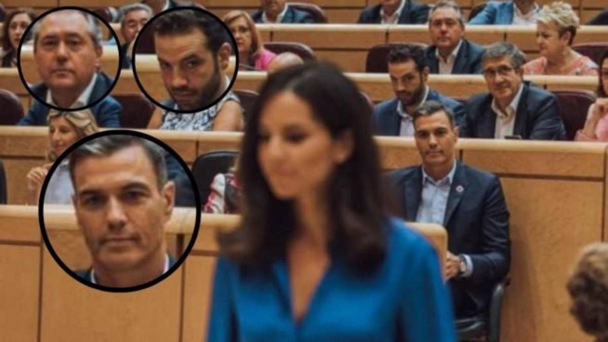MARÍA 🇪🇸💚 tweet media