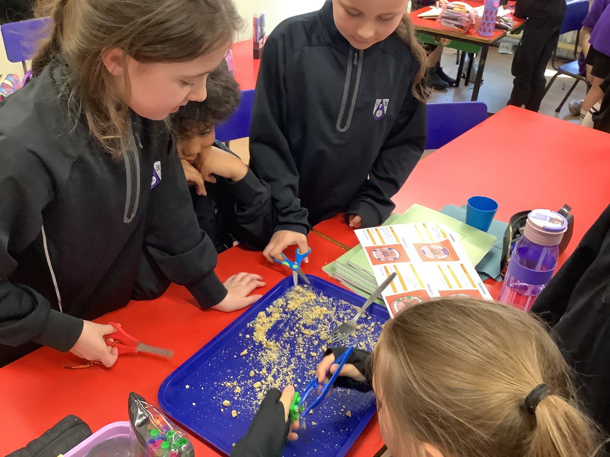 SPBYear4's tweet photo. Exploring the different types of teeth and their purpose in Science. #StPBSci https://t.co/Wz4IptkRkz