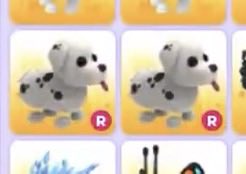 kywoki's tweet photo. selling dalmatians for $20 USD each (buyer cover fee)

— paypal fnf / remitly / e-transfer https://t.co/vZsqcroLVy