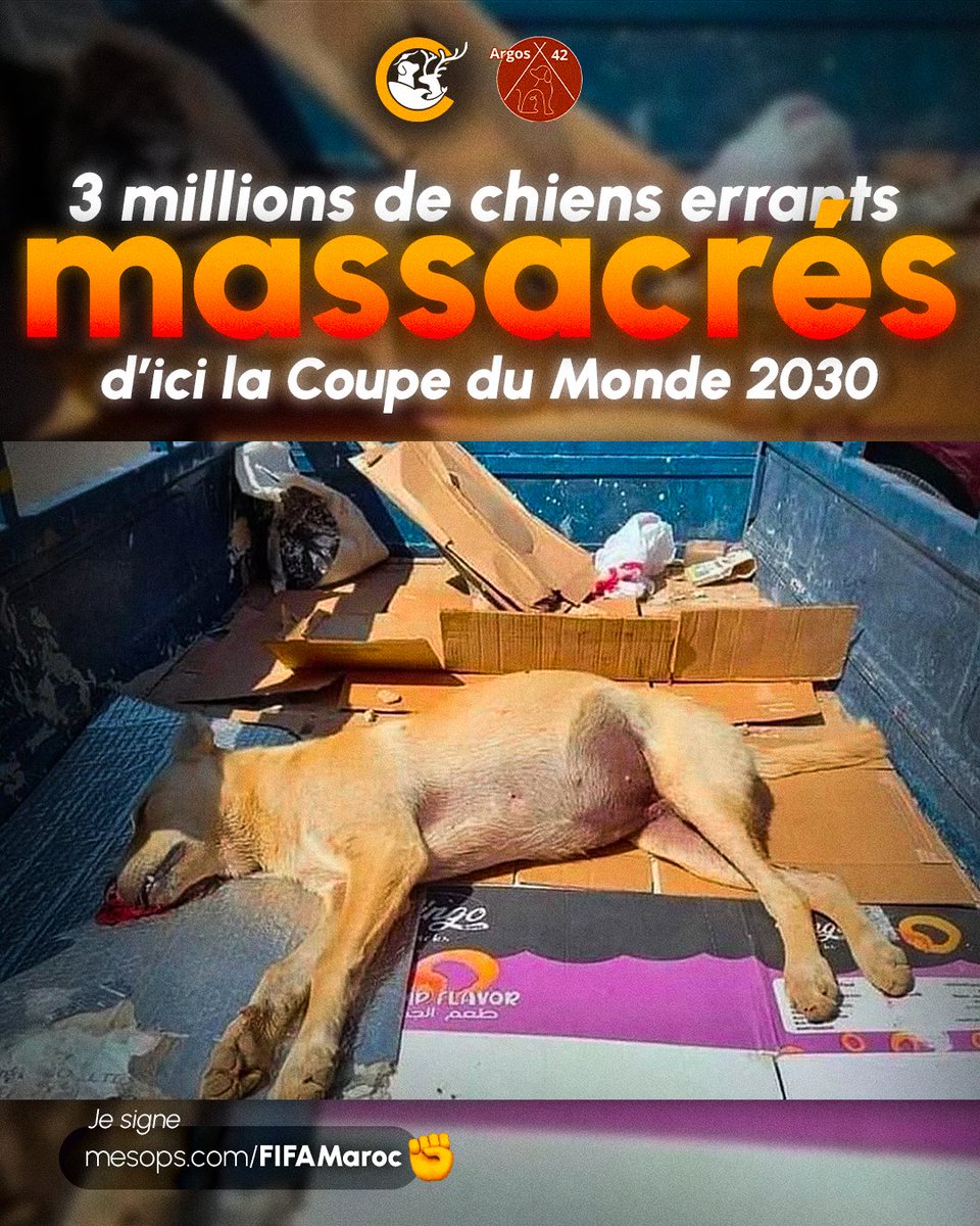 Mobilisation pour la Cause Animale tweet media