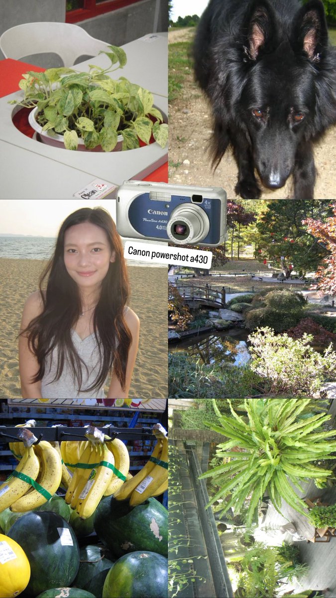 nitaaaa ||WTS DIGICAM tweet media