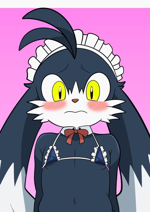 あっちでエッチなクロノアをアップした 